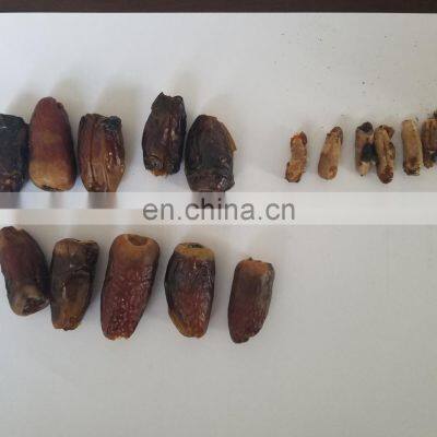 Factory Genyond Automatic Industrial Cherry Seed Removing Equipment Date Olive Fruit Pitting Machine photo-5