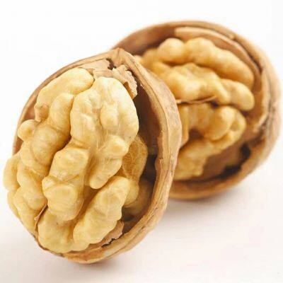 High Quality Hebei Dried Style Raw Walnut Kernel 185 Peeled Walnuts Wholesale