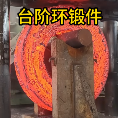 Шаговые кольцевые штамповки | Фorged Step Ring Components | Производственная на заказ