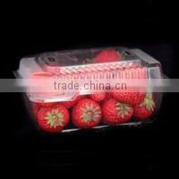 Multi Station Vacuum Thermoforming Machine Plastic Food Box Making Machine photo-3