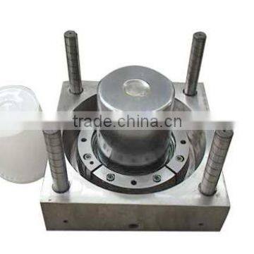 OEM/ODM Custom Plastic Injection Mould(6)