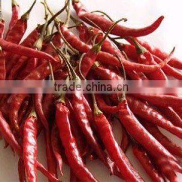Dried Yunnan Chili Pepper