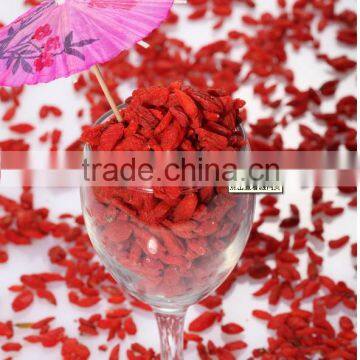 EU hot sell dried goji berries/goji/gouqi