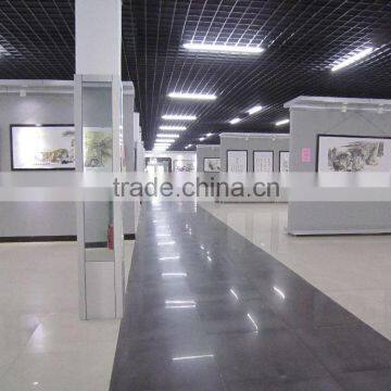 Famous Chinese Ink and Wash Painting China Peony Anique Chinese Ink Painting photo-2