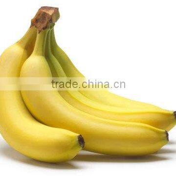 Cavandish Banana photo-3