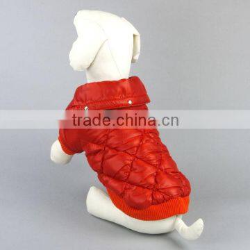 dog clothes pet