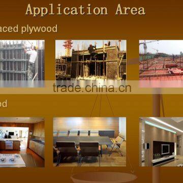 door frame lvl lumber price/ from our factory