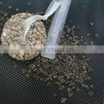 High Density Plastic Flat Netting for Oyster photo-2