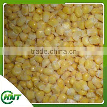 Iqf Frozen Bulk Sweet Corn Kernels