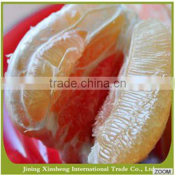 Fresh Organic Grapefruit photo-2