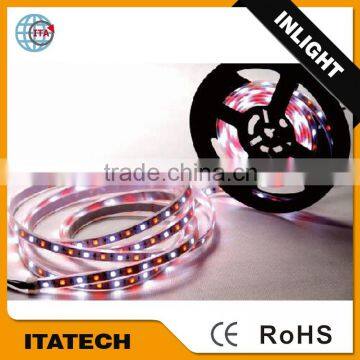 14.4W/M DC12V/24V IP20/IP65/IP68 SMD5050 RGBW/RGBWW LED strip lighting