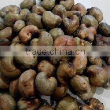 CASHEW NUTS HIGH QUALITY ORIGINAL FROM INDONESIA 2015 WITH SHELL