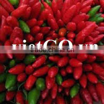 Salted red Chilli Grade A