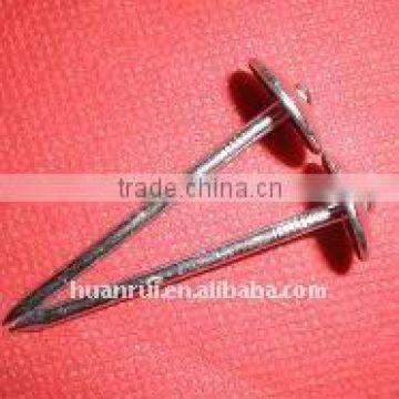 neoprene washer roofing screw5