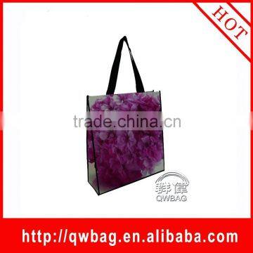 Guagnzhou factory direct sell image non woven bag with own brand logo