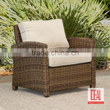 Cheap Price Paris Rattan Dining Armchair/rattan outdoor furniture for sale /Living Room Furniture Arm Chair