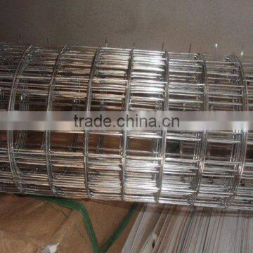 stainless steel welded wire mesh for cages