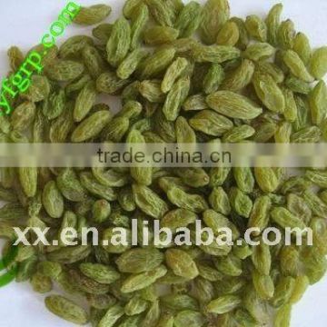 Chinese Organic green raisin