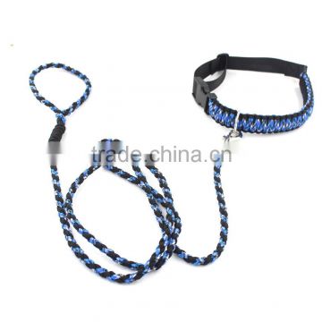 Braid paracord dog leash and collar