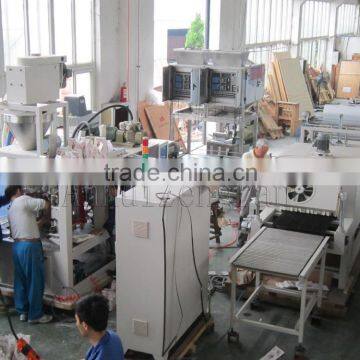 CF8P-2000A Automatic maize powder flour Packaging Machine(skype:dearlucy2014)