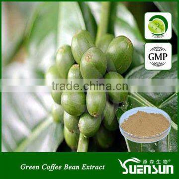 free sample green coffee bean extract powder chlorogenic acid green coffee extract