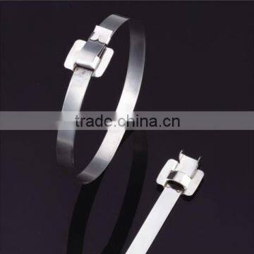 2016 Releasable Stainless Steel Cable Tie-zip tie 4.6*200mm