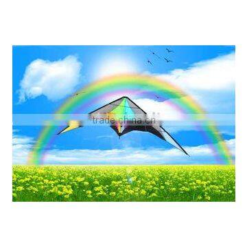 Dual Line Delta Stunt Kites - Curved Edge Kites