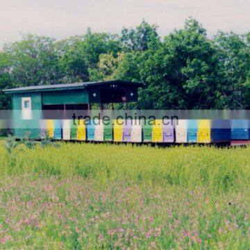 Natural Honey photo-3