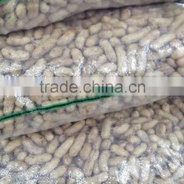 Peanuts in Shell 7-9,9-11,11-13 Specification photo-3