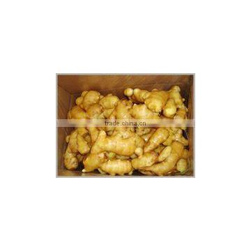 Chinese fresh yellow ginger