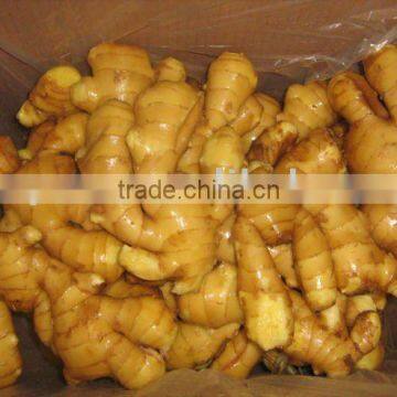 Laiwu Fresh Ginger