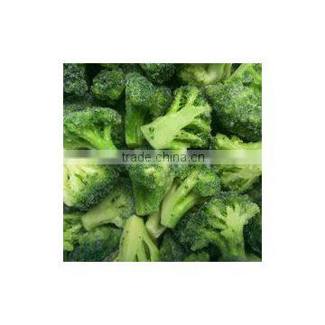 Good quality frozen IQF broccoli