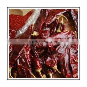 Grade A paprika, paprika pod, dried paprika-----2016 New crop