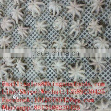 good quality Baby Octopus Octopus Ocellated whole round for hot sale