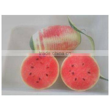 Peeler Type Fruit Process Equipment Automatic Coconut Melon Peeling Machine With CE photo-4
