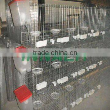 Poultry Equipment HIGH QUALITY PIGEON CAGE (FACTORY)