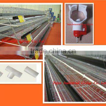 TAIYU-1 chicken laying egg cages