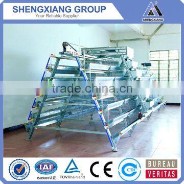 6x3-tier layer manual cages electro galvanized/hot dipped/PVC coated chicken cages/egg laying hen/battery cage for South Africa