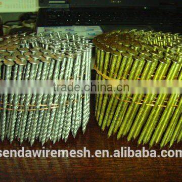 Common Nails/roofing Nails /iron Nails photo-6