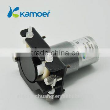 KCS Model 12v/24v Mini Peristaltic Pump With DC Motor