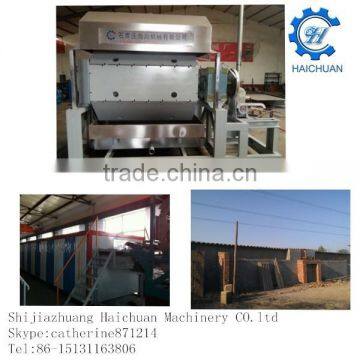 Egg Trays 30 Cavity Machine Line Fatcory photo-3