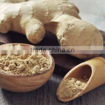Ginger Powder photo-3