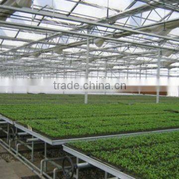Aluminum Frame Glass Greenhouse PC Greenhouse With Aluminum Structure Single Span With Automatic Ventilation Greenhouse photo-2
