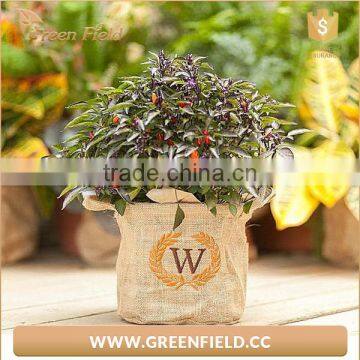 Jute Fabric Plant Pot Grow Bag,eco-friendly Jute Gardening Grow Bags With Small Handles photo-4