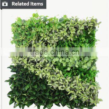 Everlasting Artificial Green Wall Plastic Vertical Green Wall photo-5