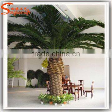 Songtao Suplier Artificial Date Palm Tree Customized Fibeerglass Date Palm Tree Fiberglass Artificial Palm Trees photo-4