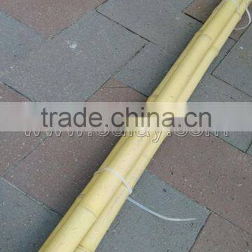 Hollow Guadua Bamboo Poles Can be Split photo-3