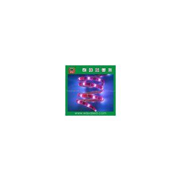 SMD 5050 Waterproof Led Ribbon Light