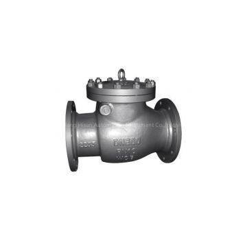 The swing flange of type check valve