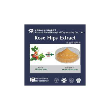 high quality rose hip extract 5%